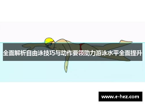 全面解析自由泳技巧与动作要领助力游泳水平全面提升