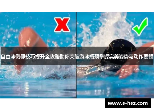 自由泳侧仰技巧提升全攻略助你突破游泳瓶颈掌握完美姿势与动作要领